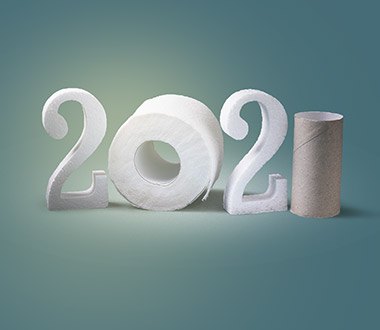 How to Fulfill Your New Year's Resolution to Behave More Ecological in the Field of Toilet Hygiene?